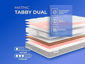 ������ ������ Tabby Tabby Dual