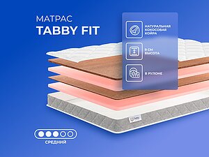 ������ ������ Tabby Tabby Fit