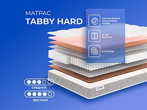 ������ ������ Tabby Tabby Hard