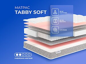 ������ ������ Tabby Tabby Soft