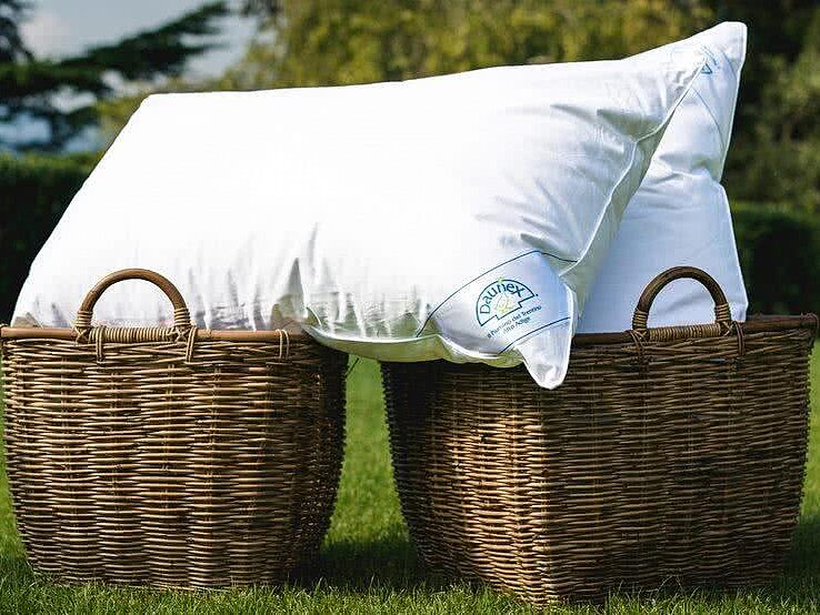 ������� ������� Daunex Aria 50, ������