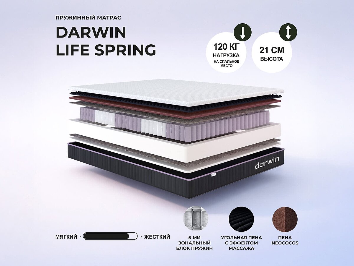 Darwin Life Spring