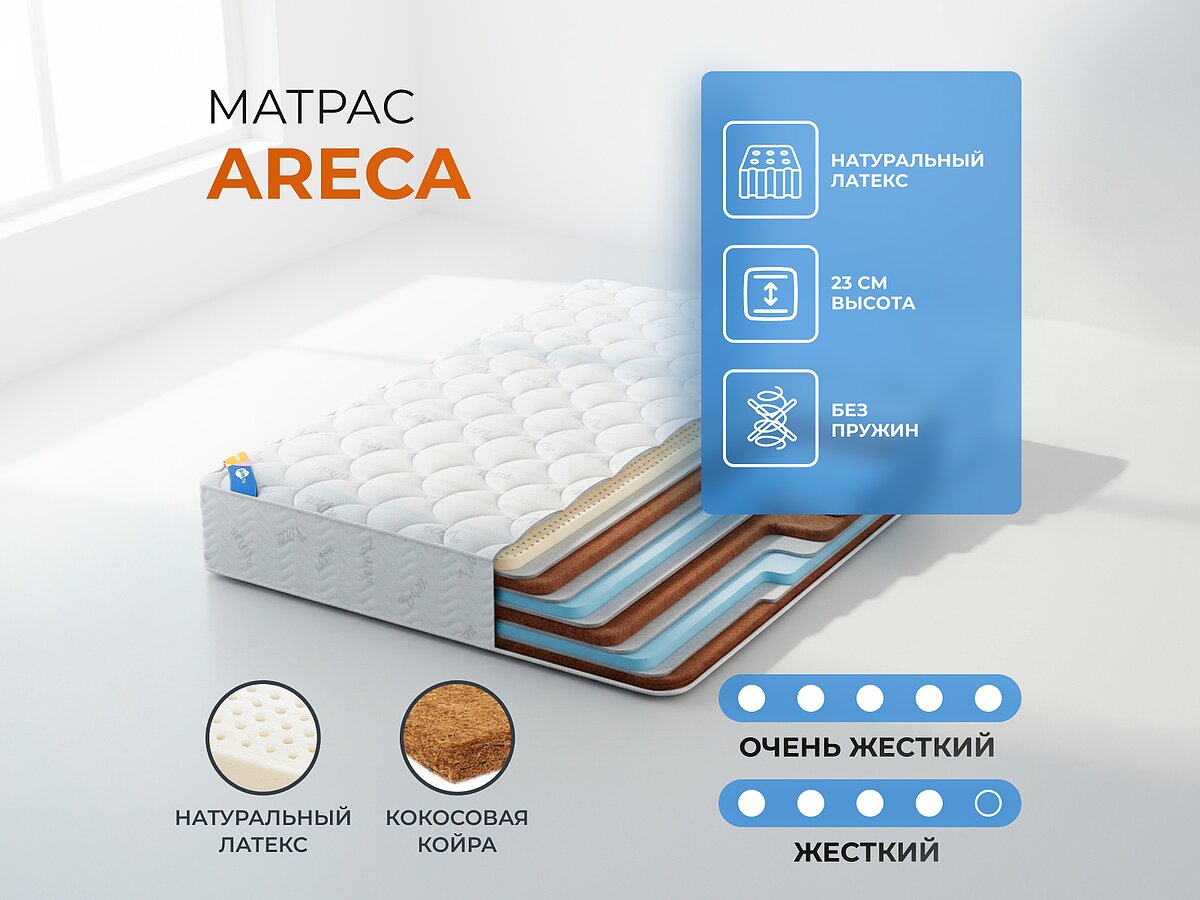 ������� Areca
