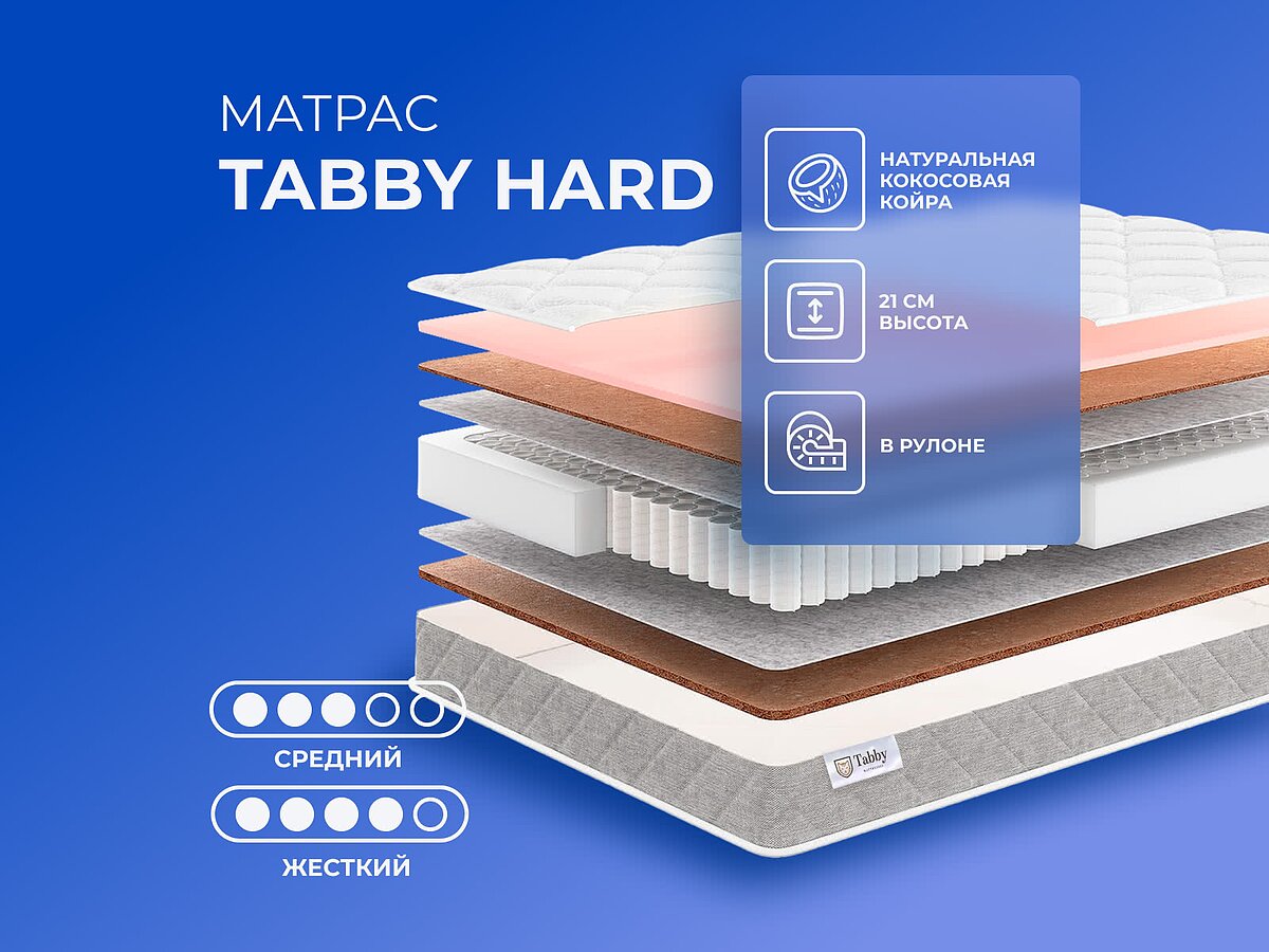 Tabby Hard