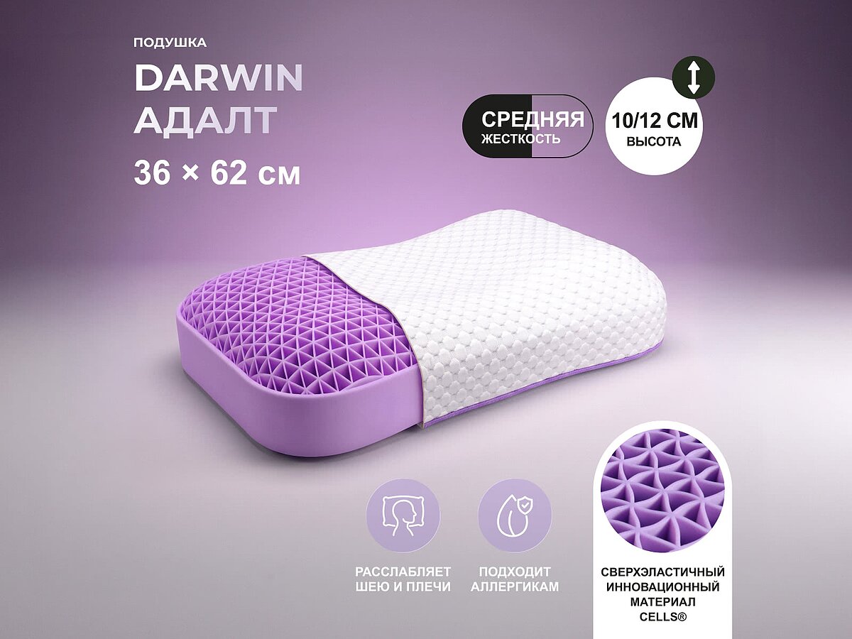 ������� darwin Adult