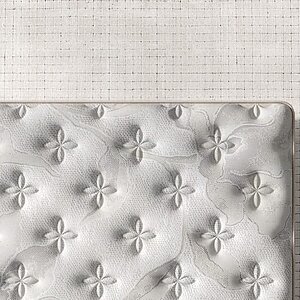 ������ Sonum Dianta Top � [65 x 200 ��] � ��������� �������, ������������ ���: 160 ��.