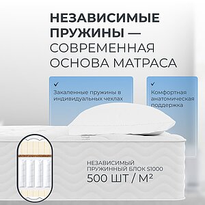 ������ ������� Touch S1000 � ������ �������: ������-������ � ������ � �������� 1,5 ����