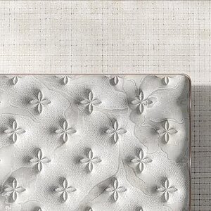 ������ Sonum Dianta Hard � ����������� ��������� ����� � ��������� �������, ������������ ���: 160 ��.