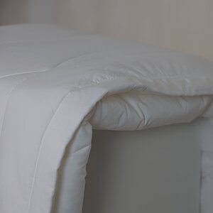 ������ Anna Flaum Aktiv, ������ � ������ � 27 ��������