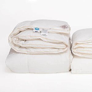 ������ German Grass Queen Down Grass, ������ � ��������� � 59 ��������