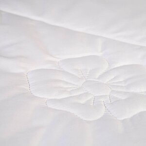 ������ ���-�����