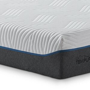 ������ Tempur Cloud Elite 25 � ������ ��� ������� � ������������� � �������� 10 ���