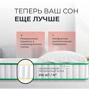 ������ Clever Dream � ������ �������: 22 ��. � ������������ ��� ������ ������������: 110 ��.