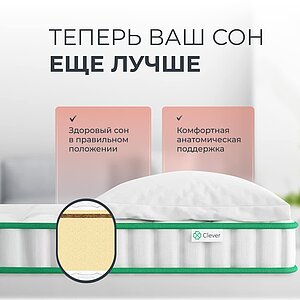 ������ Clever Light � ��� ������ � �������� 1,5 ����