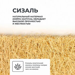 ������ ������� Agava � ������ �������: 18 ��. � 2 �������