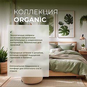   Organic Comfort F   : 24 .   1,5 