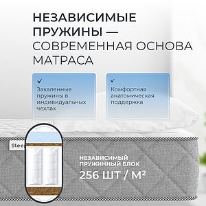 ������ Sleepline Arabella Hard S500 � �������� �� 24 ���� � ������������ ��� ������ ������������: 120 ��.
