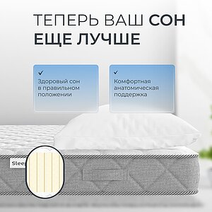 ������ Sleepline Latex � �������� �� 24 ����