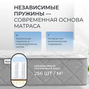 ������ Sleepline Vitto Duo S500 � ���� 25074 �. � �������� �� 24 ����