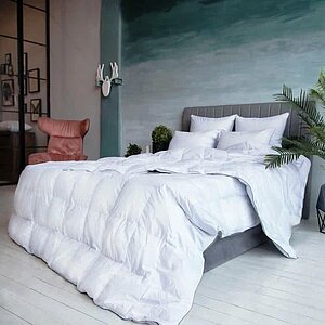 ������ ����� ������� ���� ���� all seasons