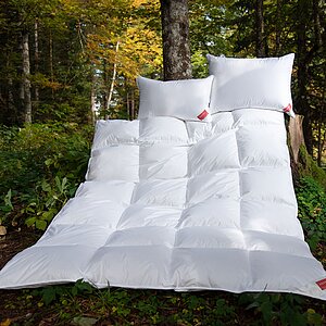 ������ ���� ���� vsesezonnoe