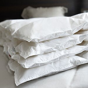 ������ Kauffmann �������� ���� � ��� � ������� � �������