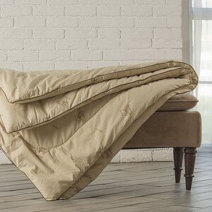 ������ ������ ��� �����, ������ � ���� 4316 �. � ������ ������