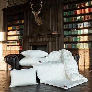 ������� ���� ���� �����