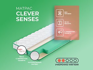Clever Senses