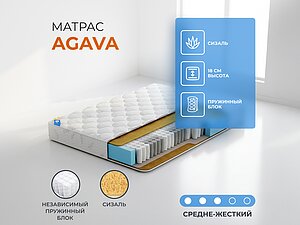 ������ ������ ������� Agava