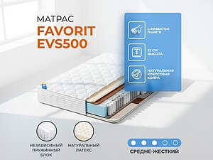������ ������ ������� Favorit EVS500