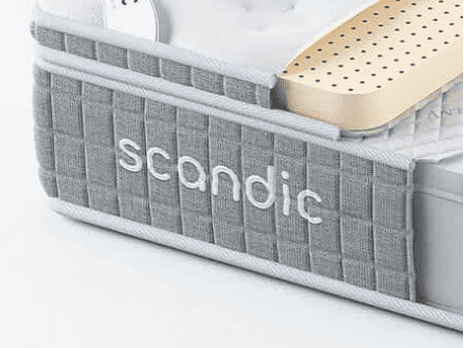 �����: ������� �� ������� ������� Scandic