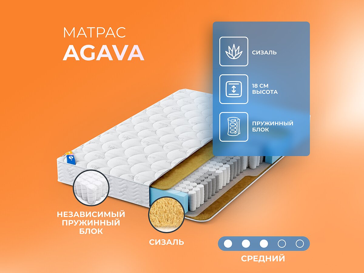   Agava