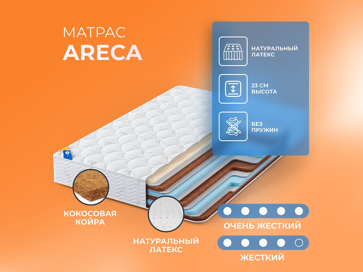   Areca