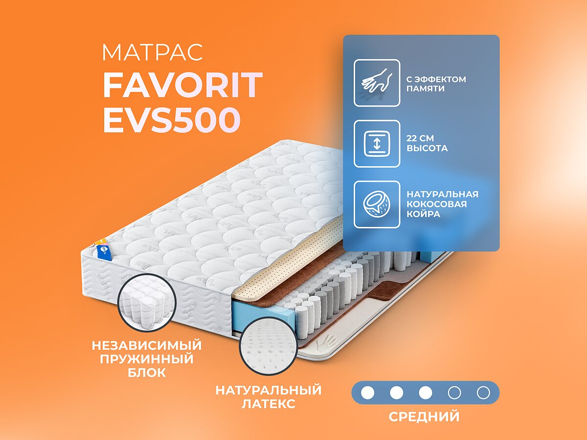  Favorit EVS500