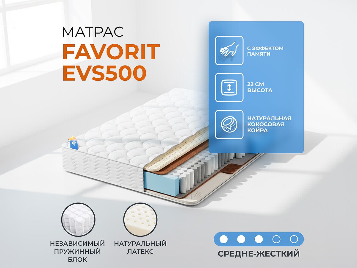 ������� Favorit EVS500