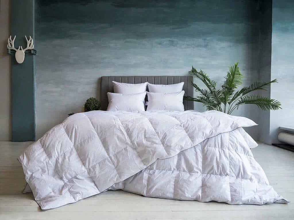 ������ Grass Familie Gray Down, �����������