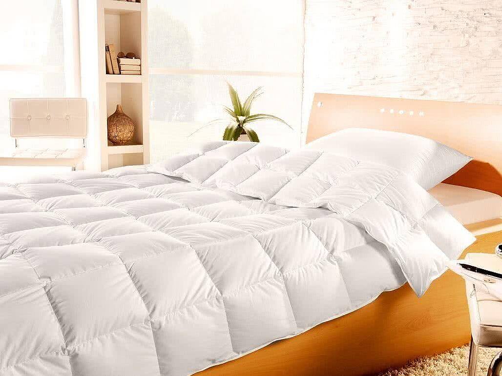 ������ XDream Blanche, �������