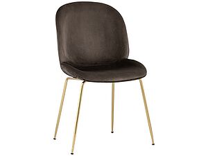   STOOL GROUP Beetle / 