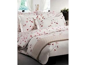   Mirabello Rose Hiver