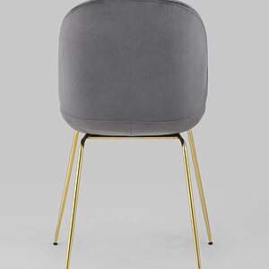  Stool Group Beetle / 