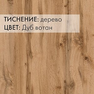 ����-����������� ���������� ���� ����