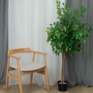 ���� Sheffilton SHT-S204