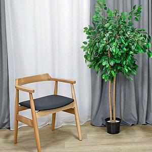 ���� Sheffilton SHT-S204