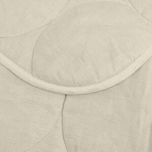 ������ �����