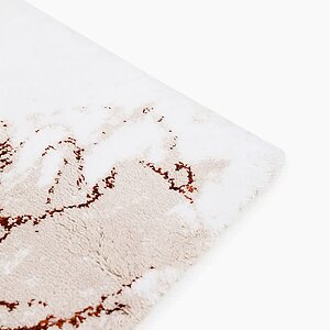 ������� ���� �� ����� �����