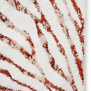 ������� ���� �� ����� �����