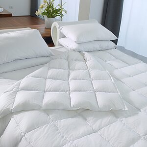 ������ DaunenStep Neostep 400 Cold Winter � ������� � ������ � 60 ��������
