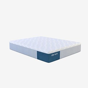 ������ darwin Bliss � ������������� ������ � ������-������� ������