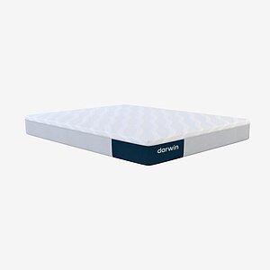 ������ darwin Elysian Lite � ���� 39893 �. � ��������� �����������, ������������ ���: 150 ��.